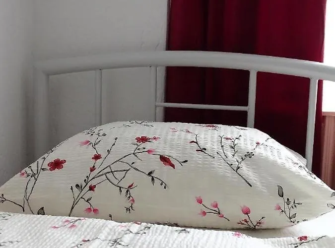 Corso Home, * كيستاي