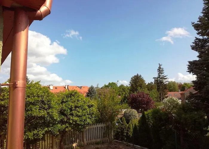 Corso Home, * كيستاي