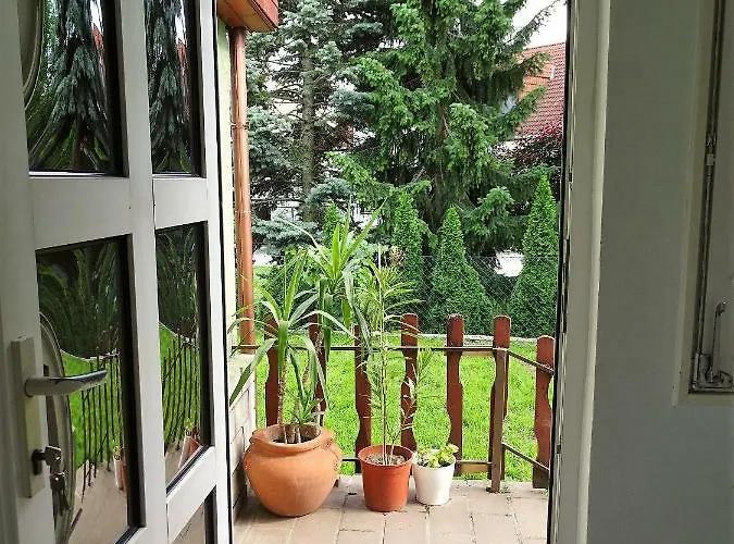 شقة Corso Home, *