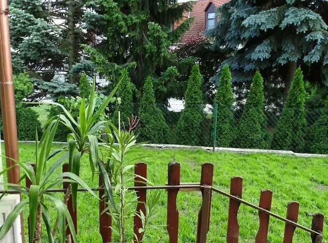 شقة Corso Home, *